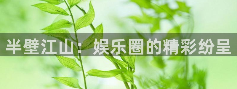 one游戏平台官网入口：半壁江山：娱乐圈的精彩纷呈