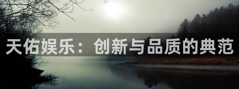 one游戏体育平台：天佑娱乐：创新与品质的典范