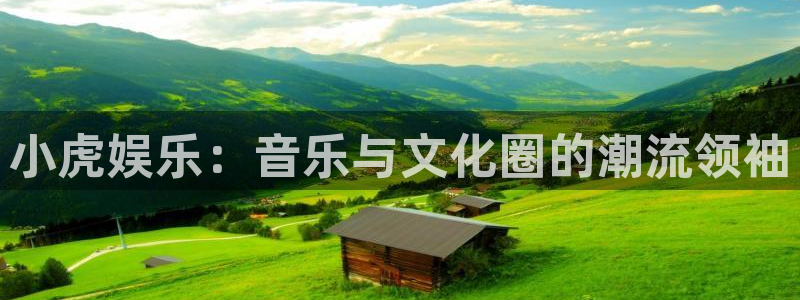 one游戏网站：小虎娱乐：音乐与文化圈的潮流领袖