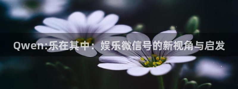 one游戏官网：Qwen:乐在其中：娱乐微信号的新视角与启发
