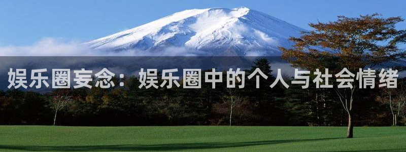 one游戏：娱乐圈妄念：娱乐圈中的个人与社会情绪