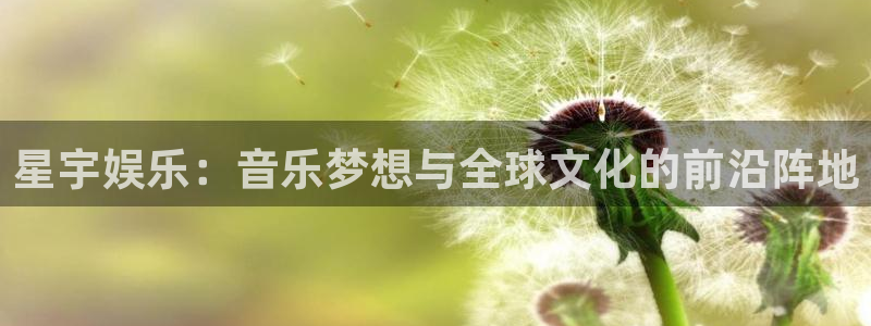 one游戏官网：星宇娱乐：音乐梦想与全球文化的前沿阵地