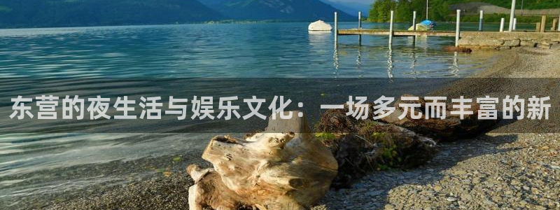 one游戏网站：东营的夜生活与娱乐文化：一场多元而丰富的新