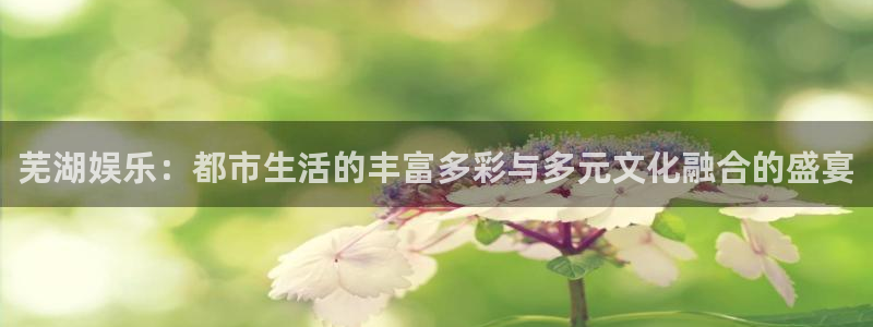 one游戏体育平台：芜湖娱乐：都市生活的丰富多彩与多元文化融合的盛宴