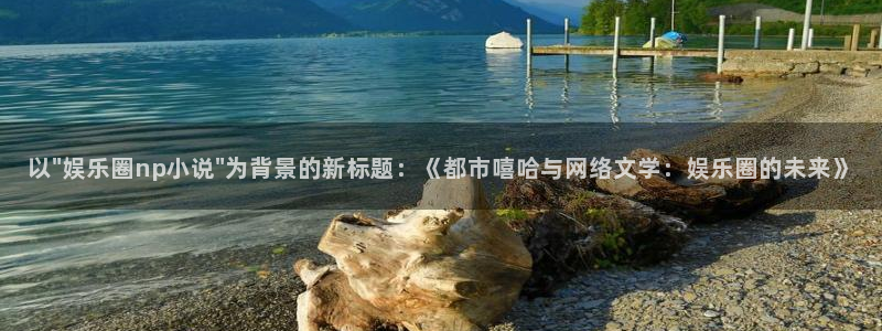 one游戏平台官网入口：以\