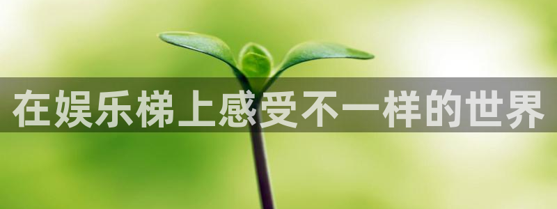 one游戏体育平台：在娱乐梯上感受不一样的世界