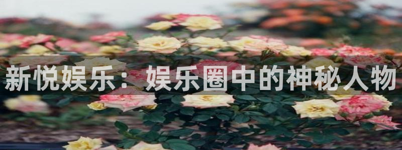 one游戏网站：新悦娱乐：娱乐圈中的神秘人物