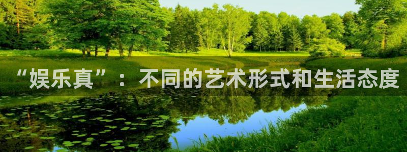 one游戏网站：“娱乐真”：不同的艺术形式和生活态度