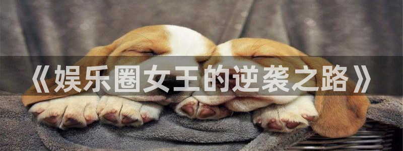 one游戏：《娱乐圈女王的逆袭之路》