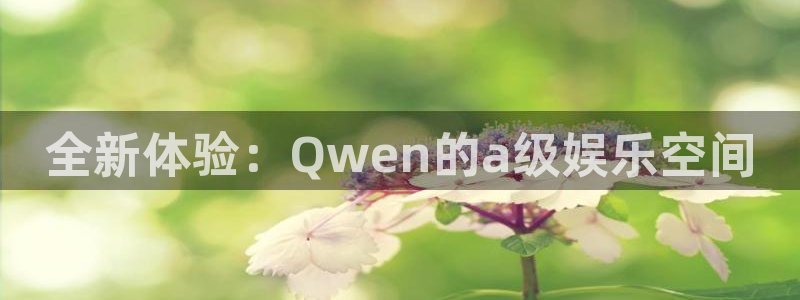 one游戏平台官网入口：全新体验：Qwen的a级娱乐空间
